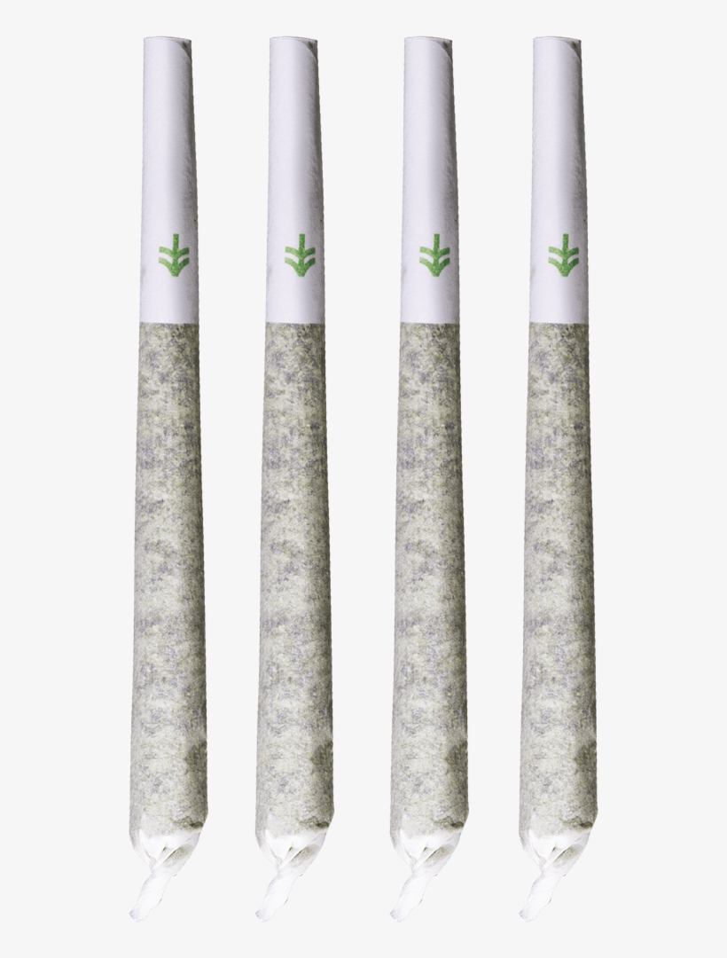 Widest Widest - Birch, transparent png download
