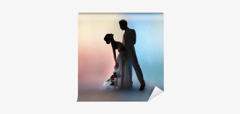 Wedding Couple Silhouette Groom And Bride On Colors - Bride, transparent png download