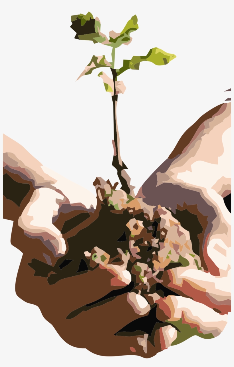 Female Marijuana Seeds - Plant A Tree Png, transparent png download