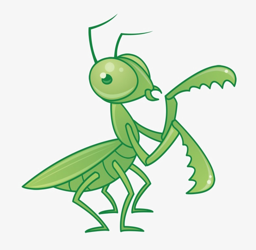 Mantis Png Free Download - Grouchy Ladybug Sequencing, transparent png download