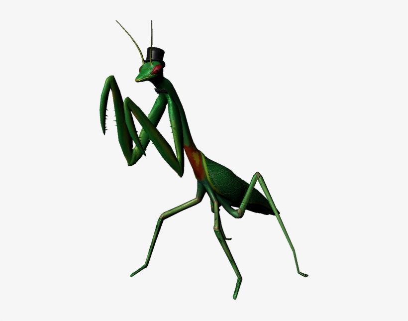 Picture - Artist, transparent png download