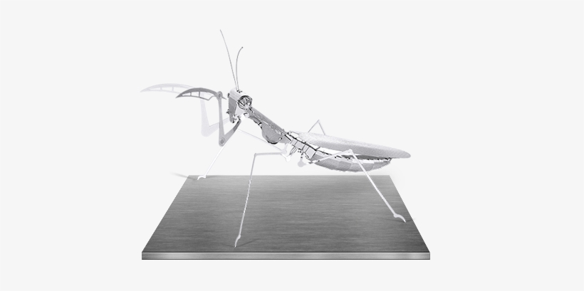 Metal Praying Mantis 3d Kit - Metal Earth Praying Mantis, transparent png download