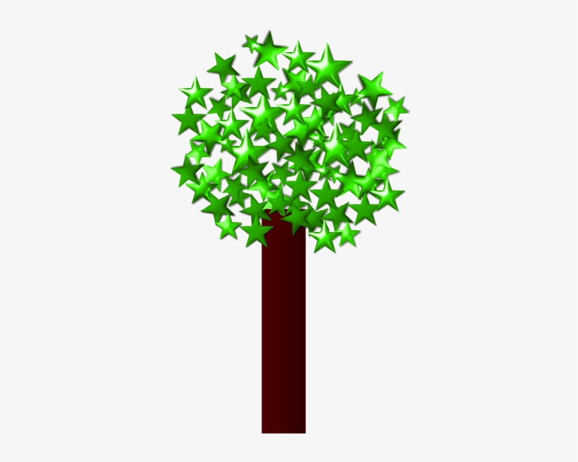 Rvores E Arbustos Pinterest Album Seedstrees, transparent png download