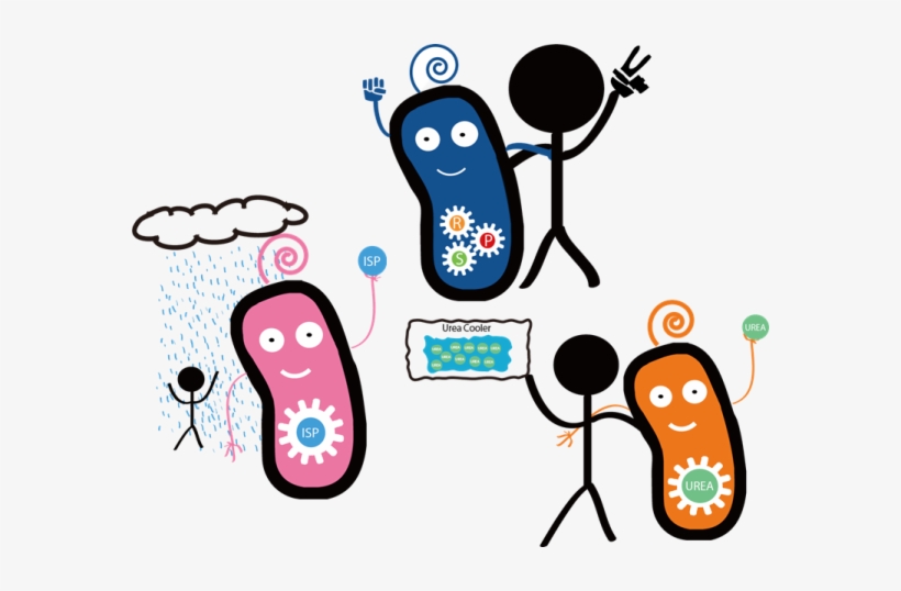 Cool Down In Summer With Our Rock Paper Scissors Game - E Coli And Humans, transparent png download