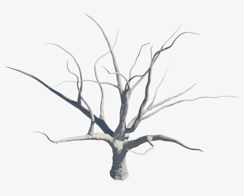Anterior Siguiente - Sketch, transparent png download