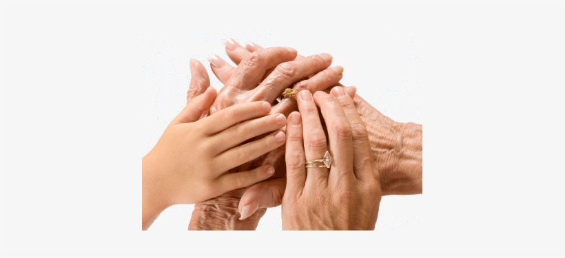 Older People - Elderly People Hands, transparent png download