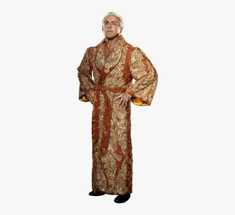 Ric Flair - Ric Flair Cut Out, transparent png download