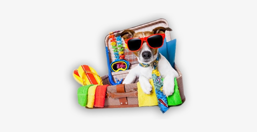 Poster: Brosch's Summer Holiday Dog, 24x18in., transparent png download
