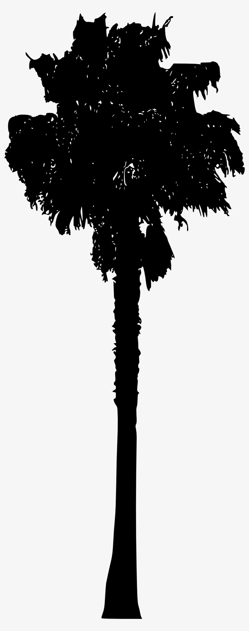 15 Palm Tree Silhouettes Png Transparent Background - Portable Network Graphics, transparent png download