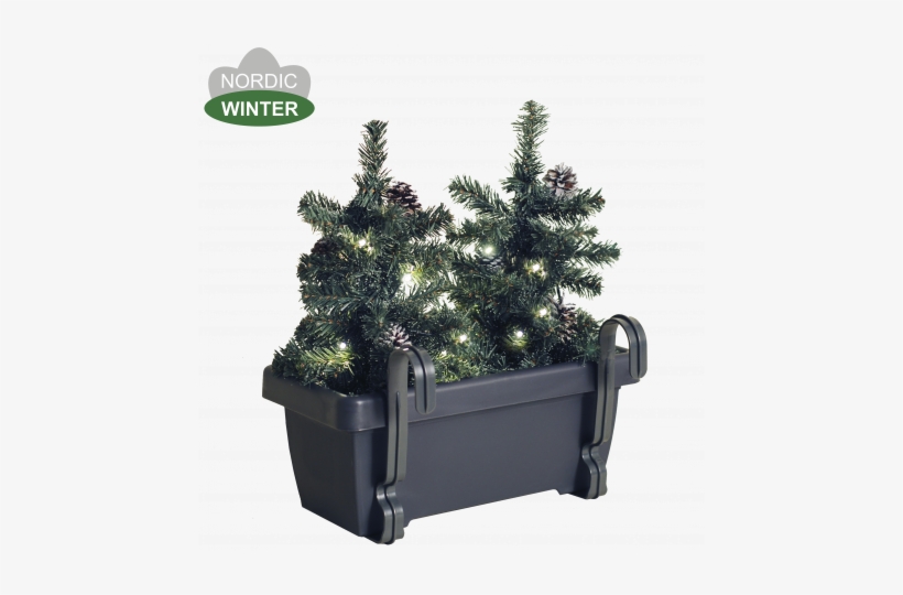 Balcony Box With Christmas Trees And Lights - Tree, transparent png download
