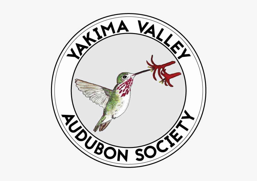 Snow Mountain Ranch Field Trip Produces Fun Bird Sightings - Yakima, transparent png download
