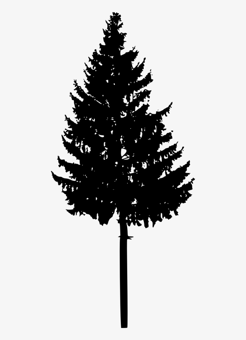 Free Png Tree Silhouette Png Images Transparent - Silhouette Of Trees Png, transparent png download