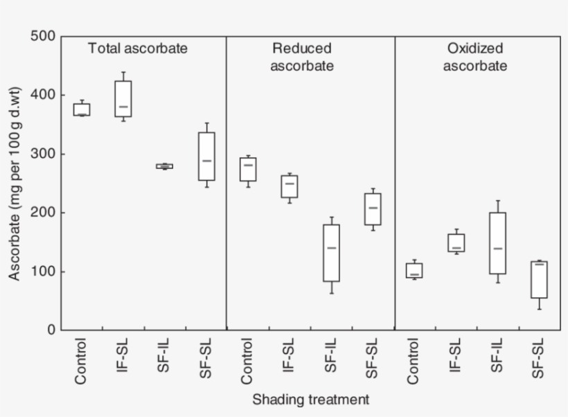 Impact Of Shading On Fruit Ascorbate Content And Its - Fruit, transparent png download