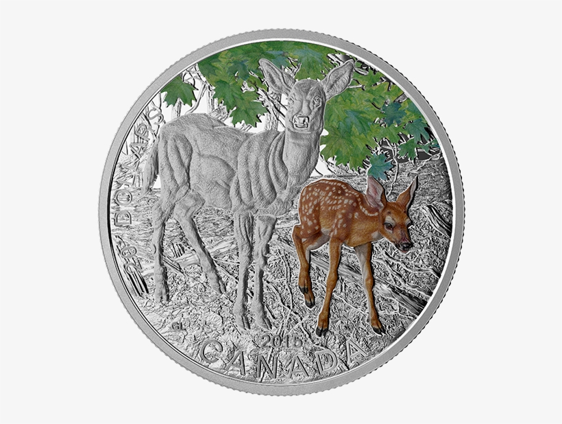 Fine Silver Coloured Coin Baby Animals - 2015 Fine Silver 20 Dollar Coin - Baby Animals: White-tailed, transparent png download