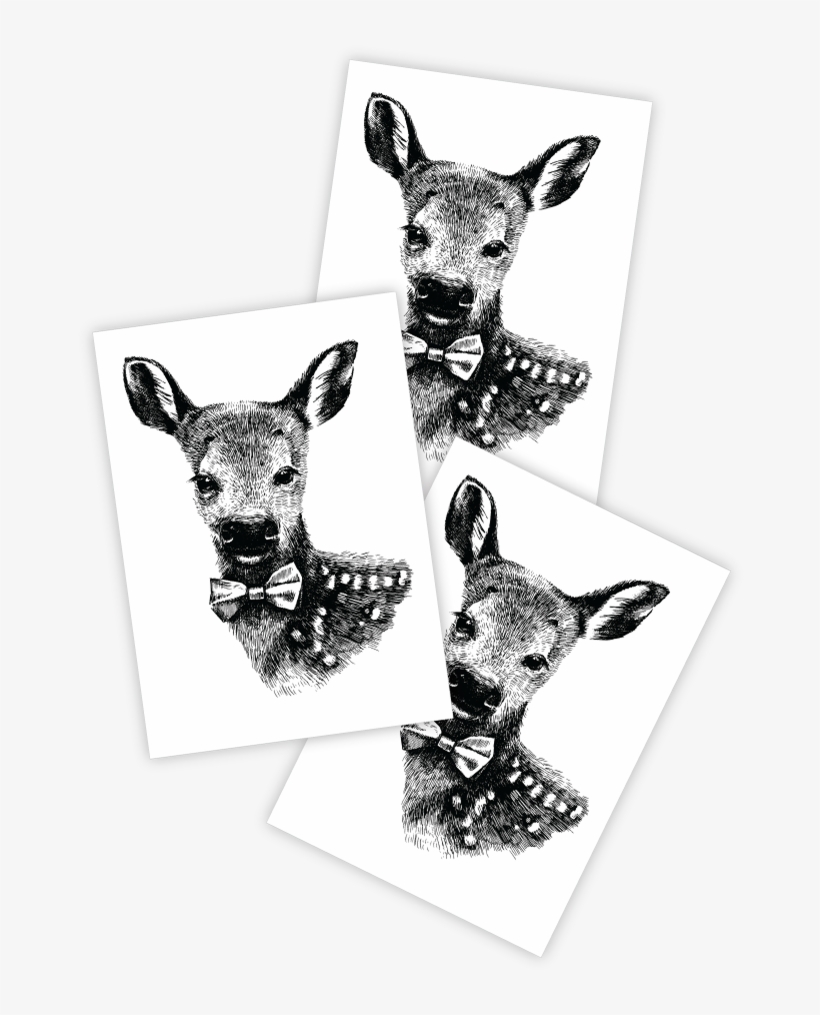 Baby Deer - Deer, transparent png download