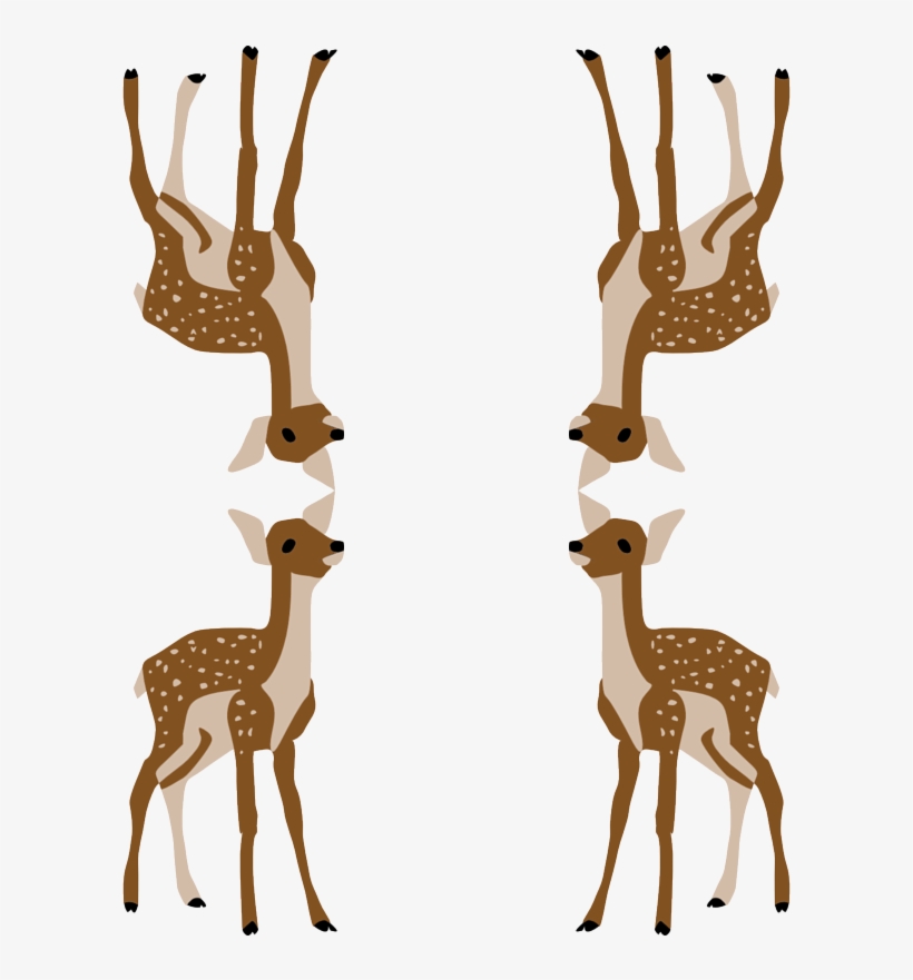 Deer, transparent png download