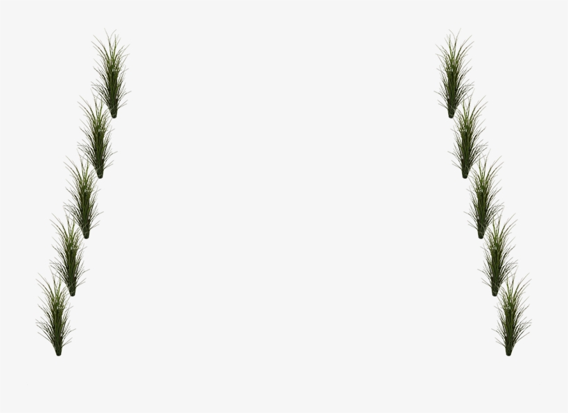 Greenery Posts - Florida, transparent png download