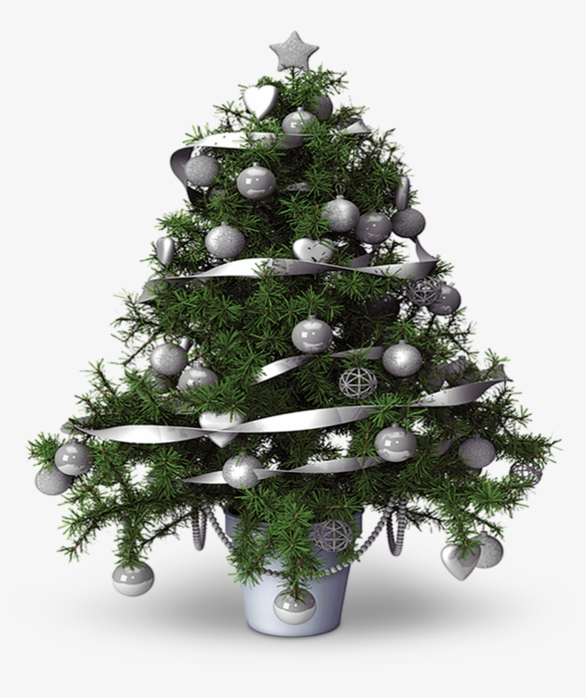 Collection Scent - Christmas Tree - Christmas Tree, transparent png download