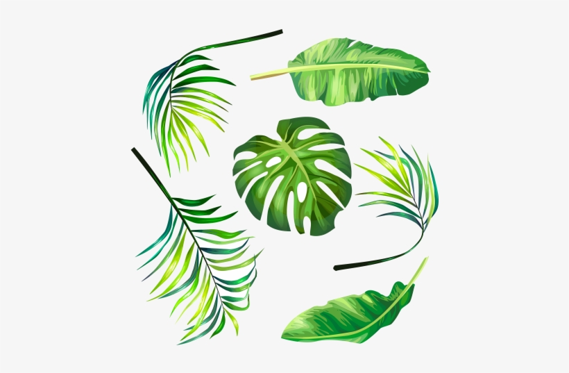 Cropped-471 - Background Green Vector Png, transparent png download