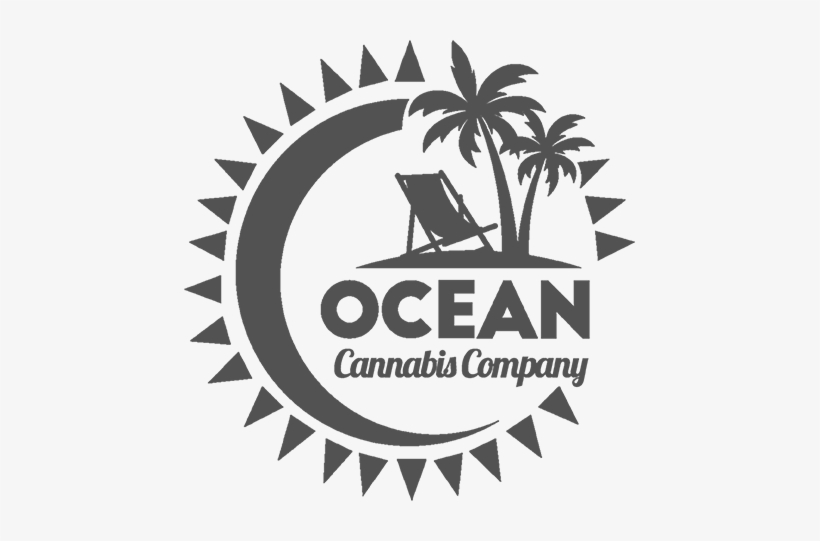 Untitled-1 - Palm Tree Surf Logo, transparent png download