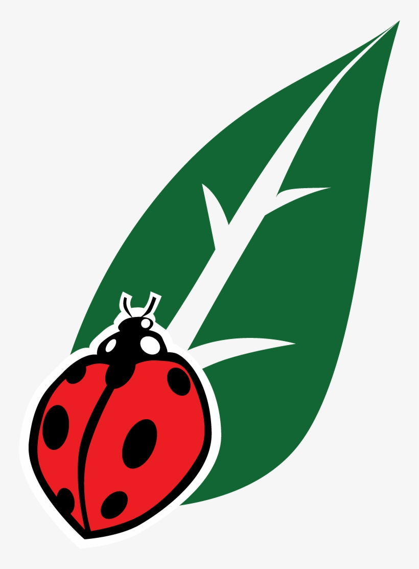 Qic Cannabis Qic Cannabis - Culture, transparent png download