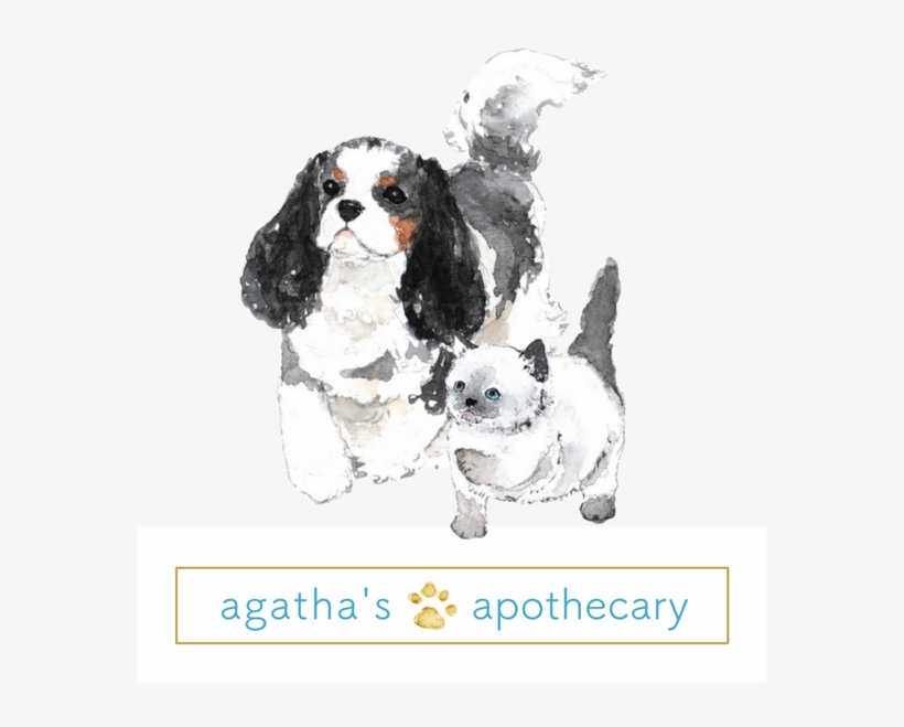 Prancing Agatha With Fluffy Logo - Portable Network Graphics, transparent png download