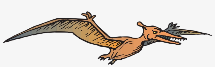 Brds Clipart Dinosaur Pencil And In Color Brds Clipart - Dinossauro Passaro, transparent png download