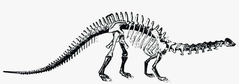 If You Were A Dinosaur, What Would You Be - Did The Dinosaurs Become Extinct, transparent png download