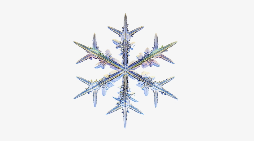 Flakes, Ice, Snow Scenes - Snow Crystal, transparent png download