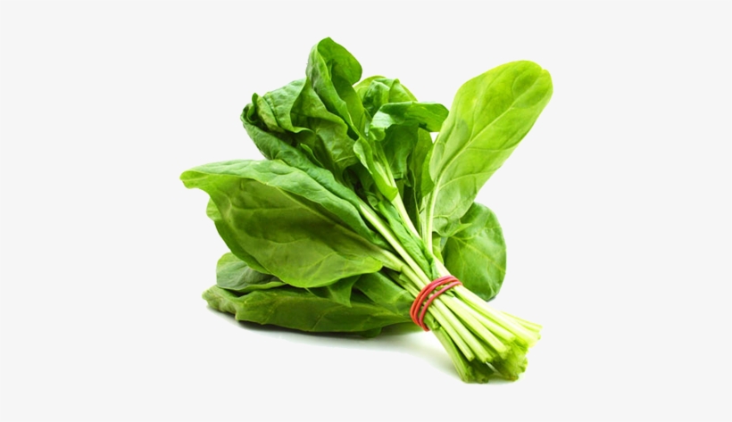 Spinach Png Hd - Palak Keerai, transparent png download