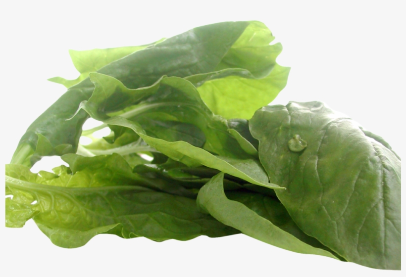 Spinach Png Image - Spinach, transparent png download