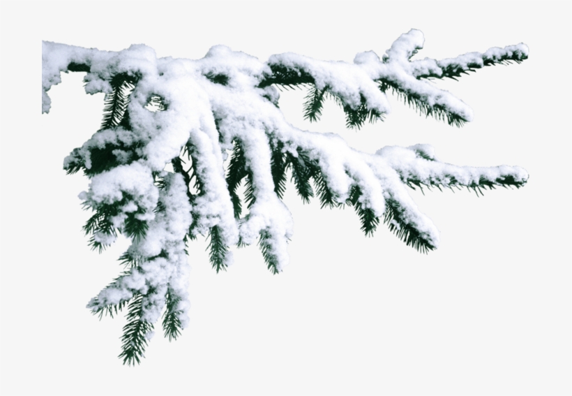 Saint Petersburg, transparent png download