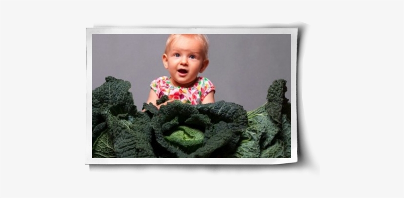 Kale Is The New Spinach Post Image - Health, transparent png download