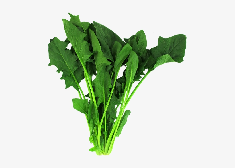 Mustard Greens, transparent png download
