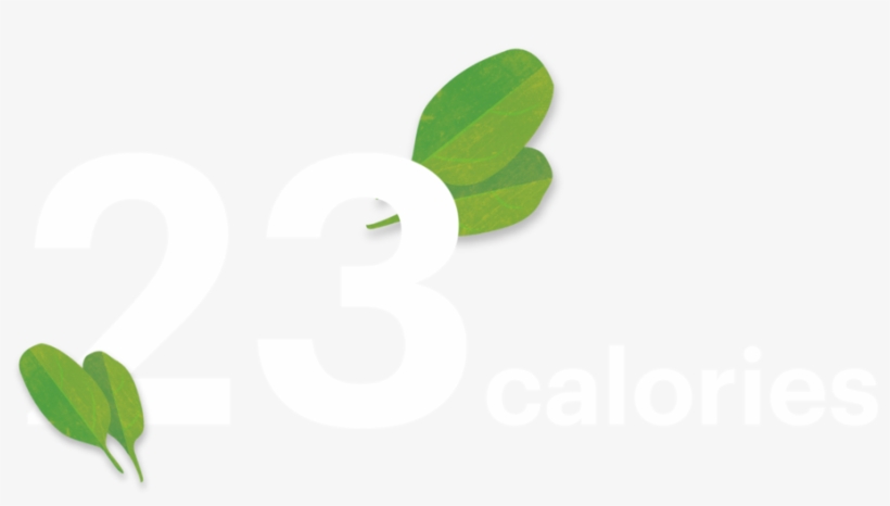 Spinach Header3-03, transparent png download