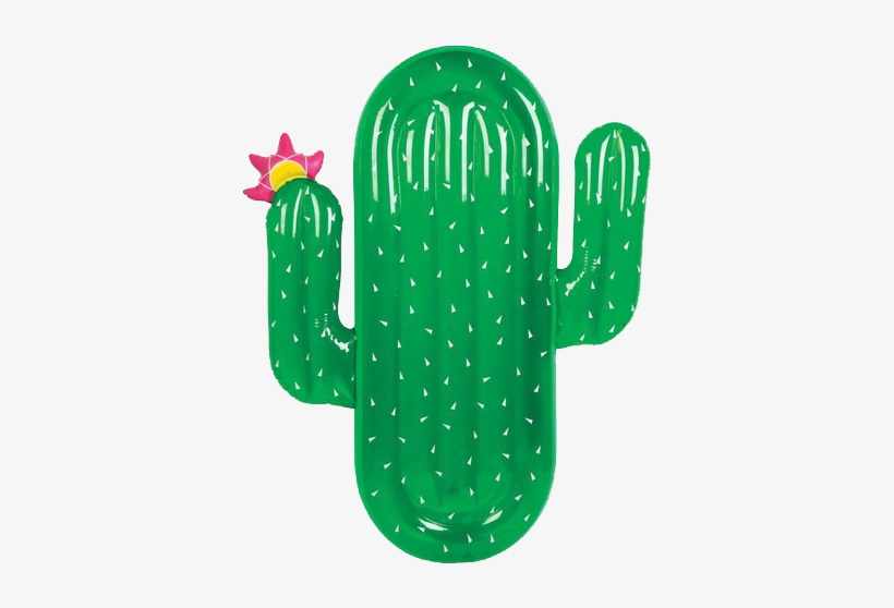 Cactus - Sunnylife Luxe Cactus Float, transparent png download