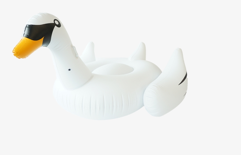 Sunfloats Inflatable White Swan Pool Floats - Inflatable, transparent png download