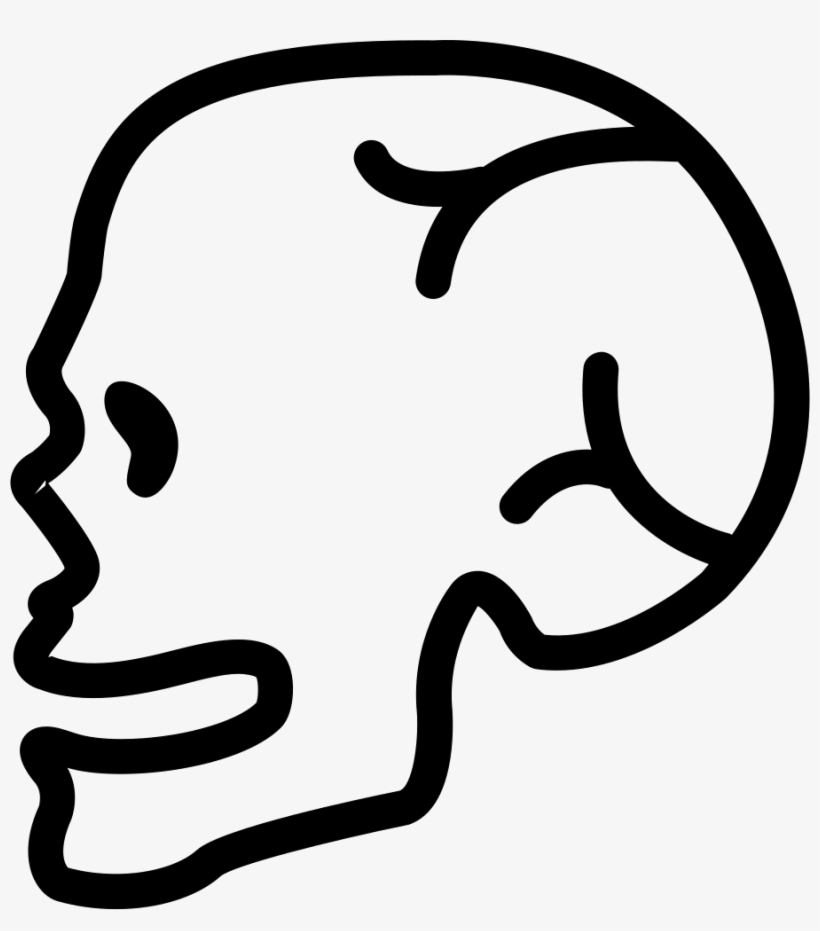 Human Skull Side View Comments - Skull Icon Side, transparent png download