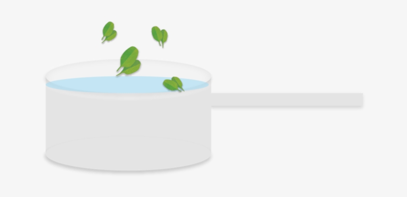 Spinach Header4-04 - Circle, transparent png download