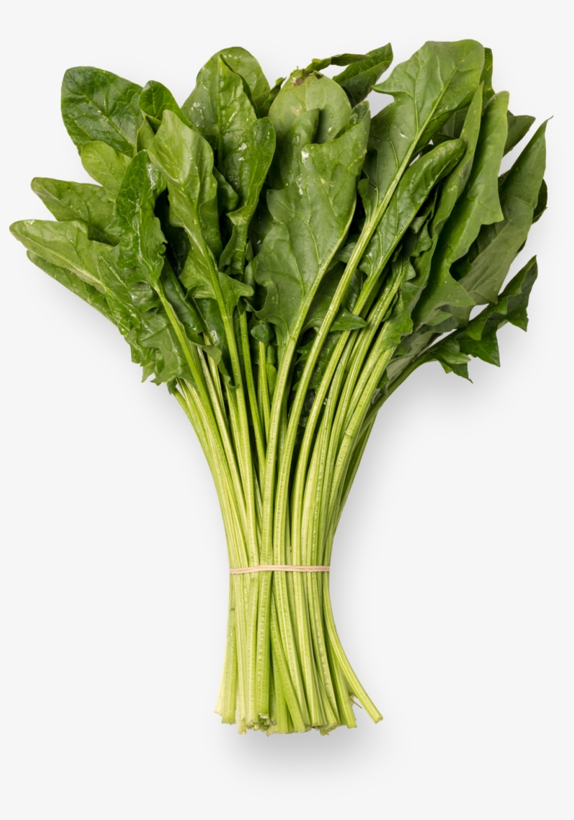 Spinach - ผัก ไฮ โดร โป นิ ก ส์ กวางตุ้ง, transparent png download