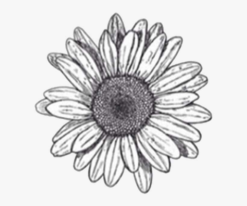 Resultado De Imagem Para Flower Doodle Transparent - Aesthetic Yellow Tumblr Background, transparent png download