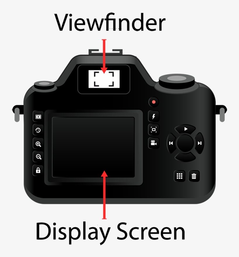 The Back Of A Camera Highlighting The Display Screen - Camera, transparent png download
