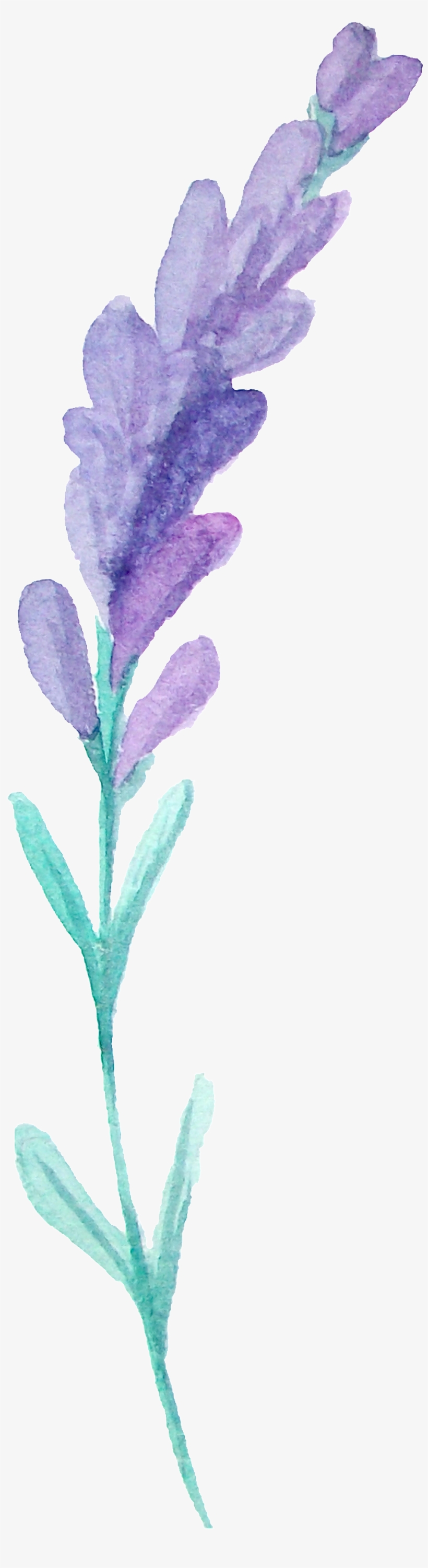 This Graphics Is Hair Flower Branches Transparent Decorative - Portable Network Graphics, transparent png download