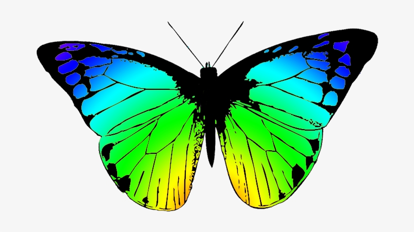 Butterfly - Butterfly Wings Clip Art, transparent png download
