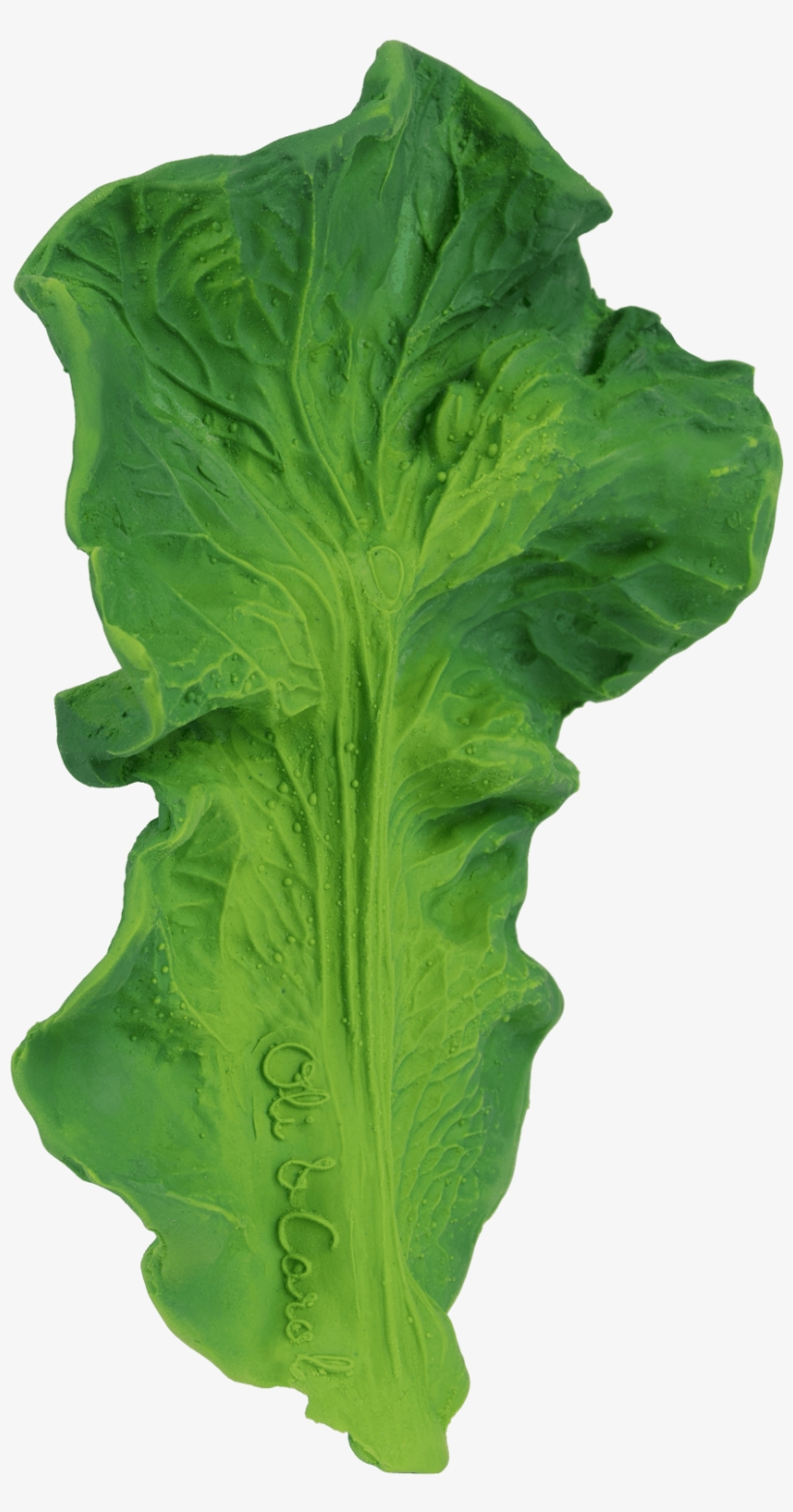 Kale Teether - Oli & Carol Kendall The Kale, transparent png download