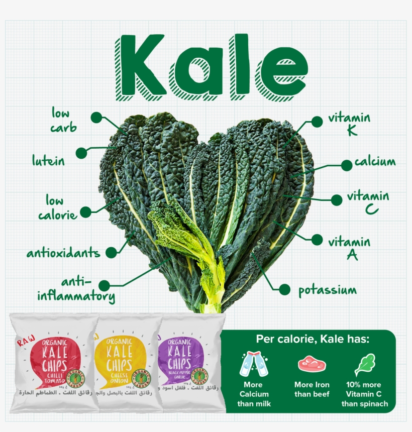 Eat Local Dekalb Sticker, transparent png download