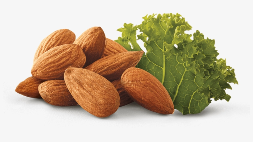 Almond And Kale - Leaf Vegetable, transparent png download