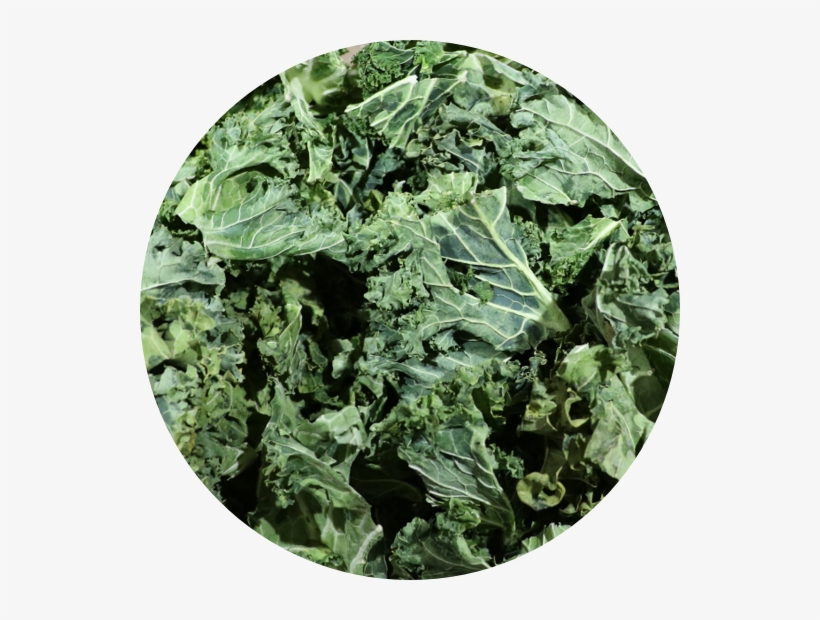 Big Foot Foodie Now Has Kale Available Buy Kale - Bag, transparent png download
