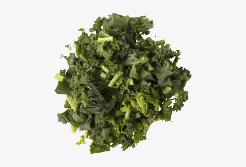 I Do A Lot Of Grocery Store Tours For All Ages, But - Leaf Vegetable, transparent png download