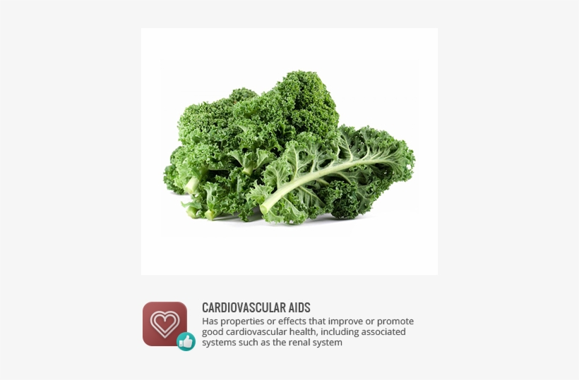 Cardiovascular - Kale Benefit For Skin, transparent png download